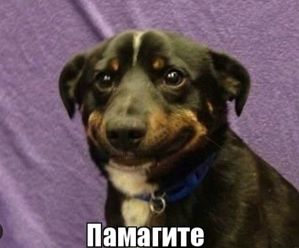 JGP12366.png